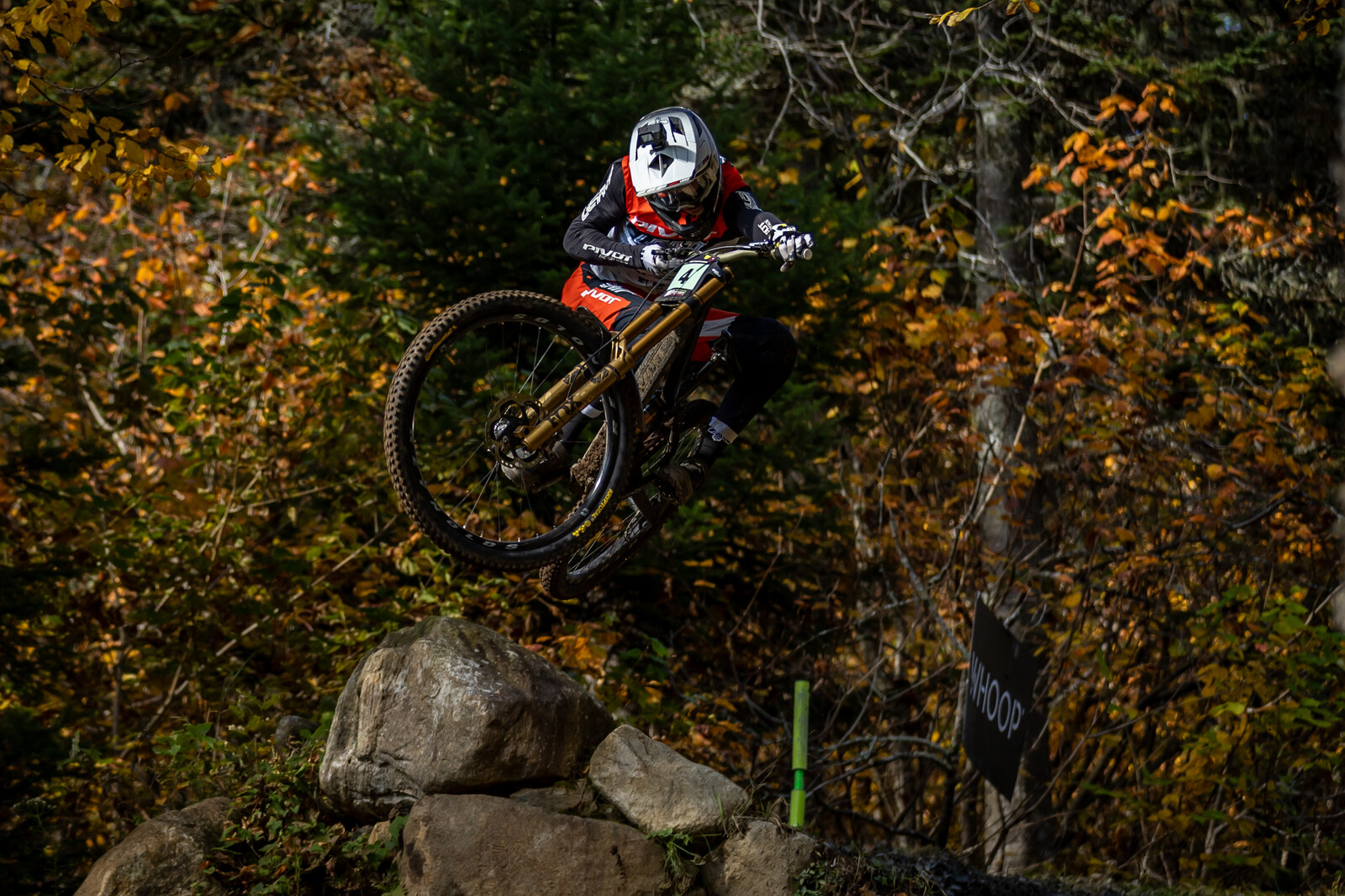 Dane Jewett 1